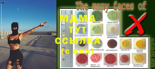 ГАЛЛЮЦИНОГЕННЫЕ ГРИБЫ Абаза